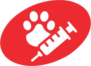 Dog Cat Vaccines In Missoula Mt