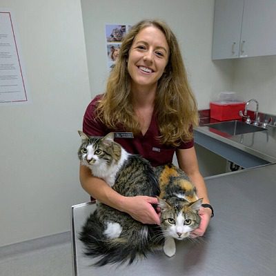 Dr. Milton - female veterinarian with long light brown hair posing with 2 cats