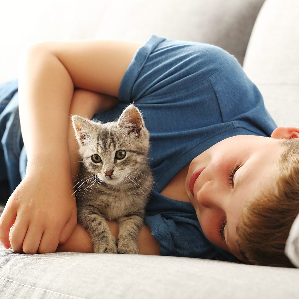 Boy with kitten on couch