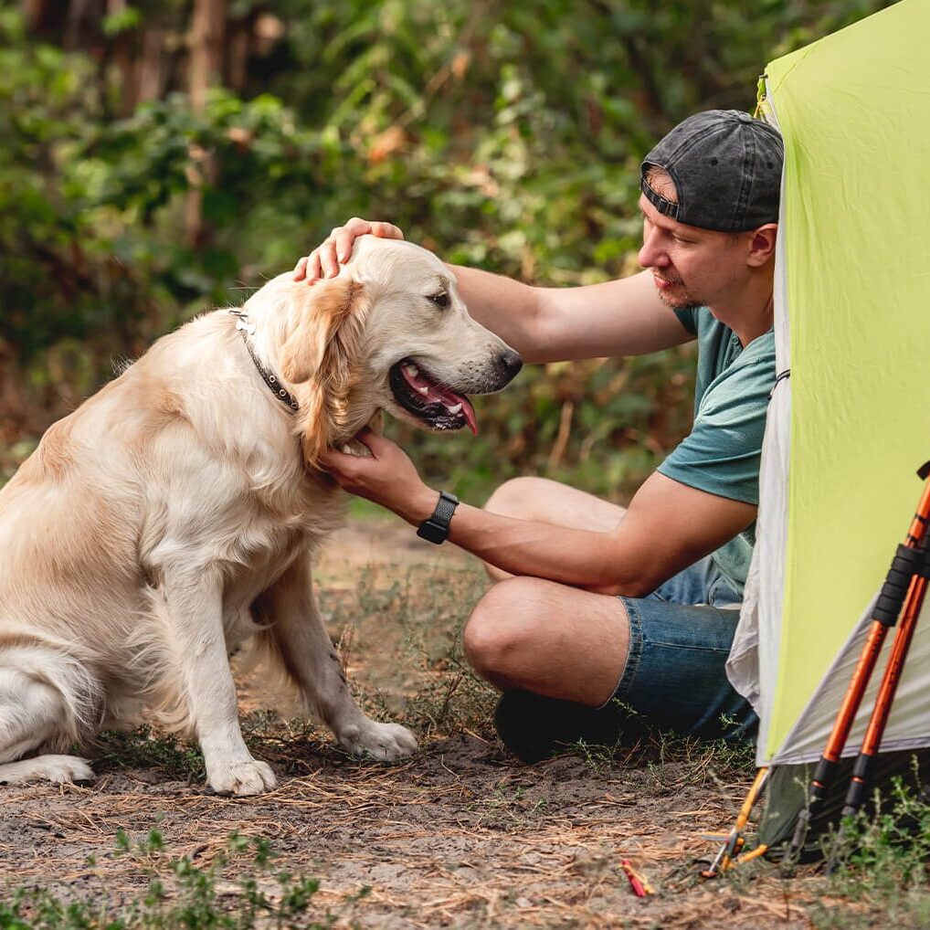 Dog Camping
