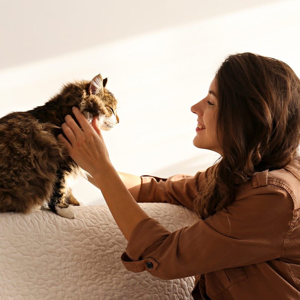 Woman Petting Cat On Couch